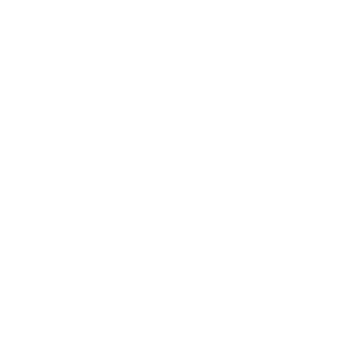 Free a Girl logo